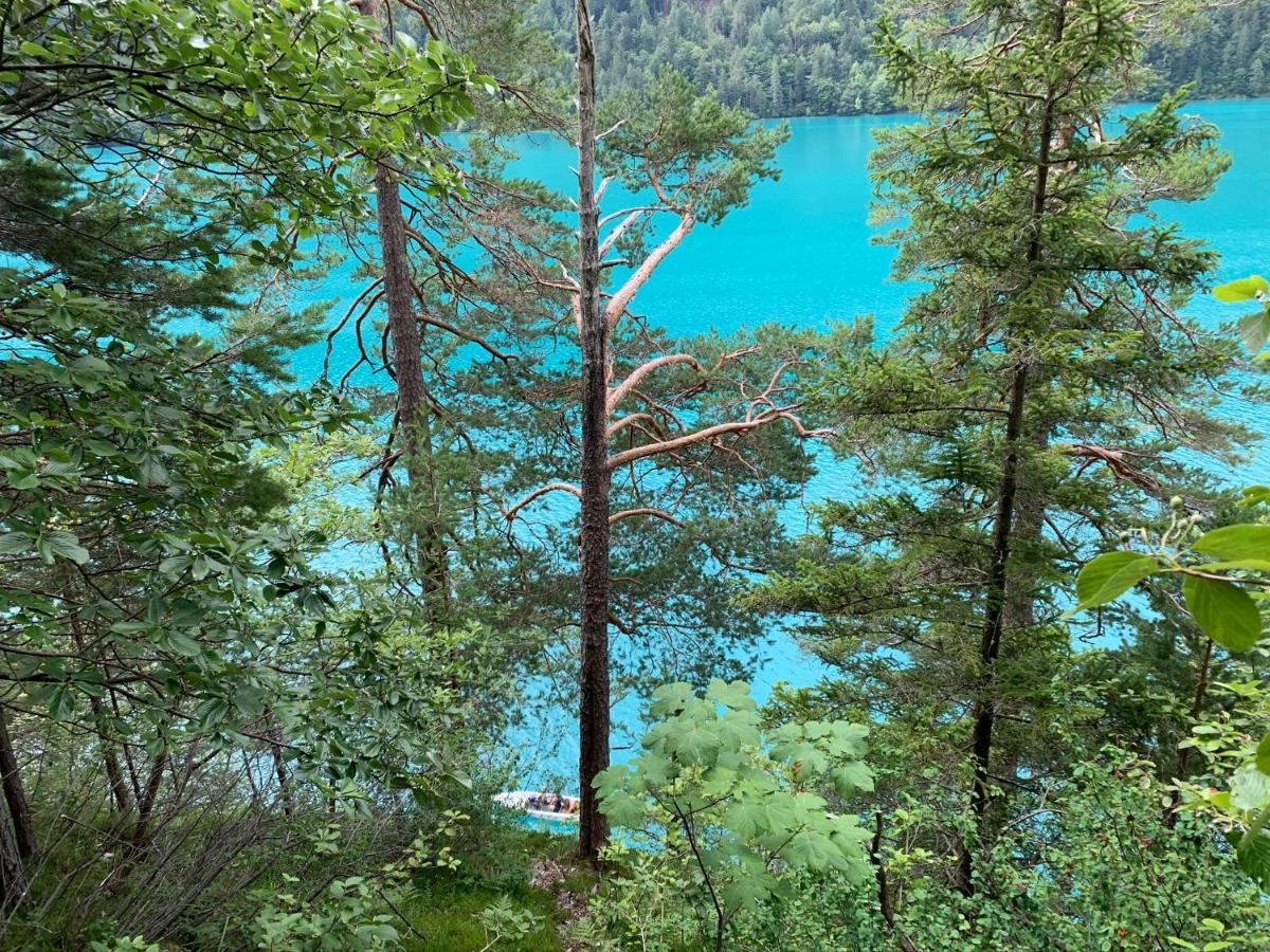 魏森湖Haus Waldblick公寓 外观 照片