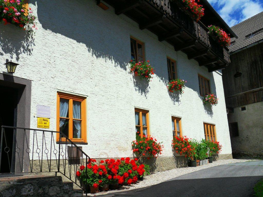 魏森湖Haus Waldblick公寓 外观 照片