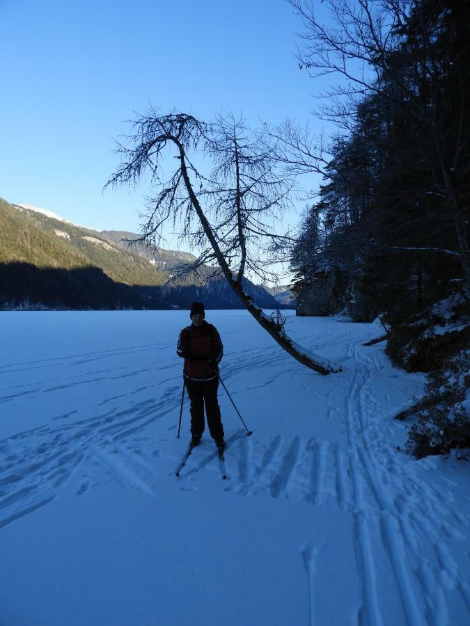 魏森湖Haus Waldblick公寓 外观 照片