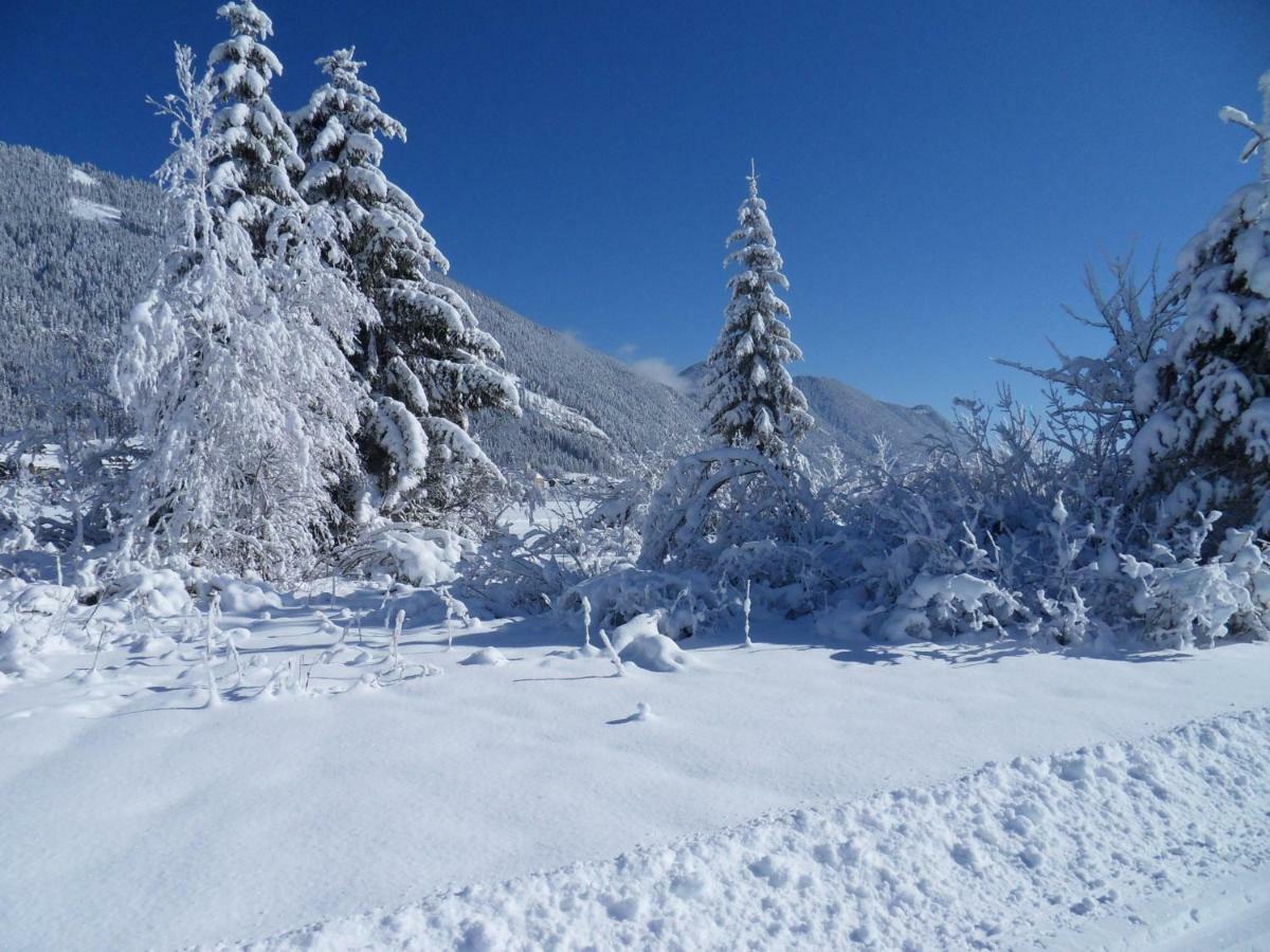 魏森湖Haus Waldblick公寓 外观 照片